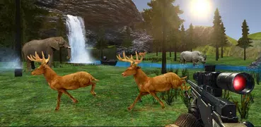 Deer Hunter