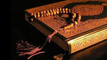 Al- Quran Reading ảnh chụp màn hình 3