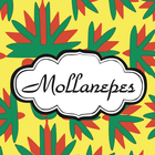 Mollanepes icon