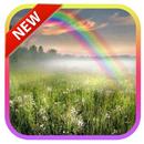 Papel de parede Rainbow HD 4K APK