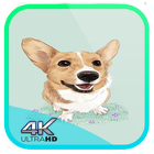 Dog Wallpaper Cute Shibaken's HD icône