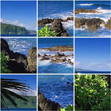 Shuffle pictures