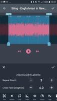 Audio Editing Pro: AndroSound تصوير الشاشة 2