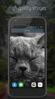 4k HD Wallpapers (Bestwalls) โปสเตอร์