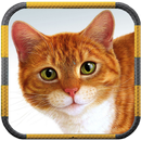 Animal sounds (New) APK