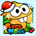 Race a Maze
