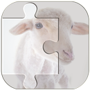 Real Animal Puzzle Jigsaw APK