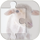 Real Animal Puzzle Jigsaw icône