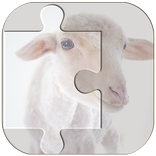 Real Animal Puzzle Jigsaw