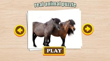 Real Animal Puzzle Jigsaw स्क्रीनशॉट 2