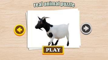 برنامه‌نما Real Animal Puzzle Jigsaw عکس از صفحه