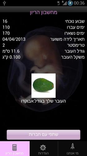 Pregnancy Calculator - מחשבון for Android - APK Download