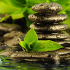 zen garden falls wallpapers icon