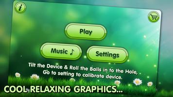 Roll the Ball постер
