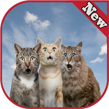 اجمل صور مضحكه