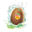 Zespri® Kiwi Colour Magic