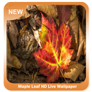 Maple Leaf HD Wallpaper APK