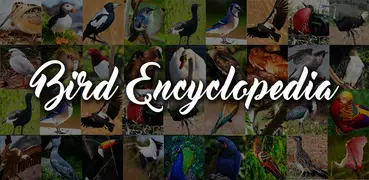 鳥の百科事典