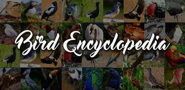 Bird Encyclopedia