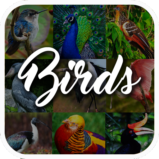 鳥の百科事典