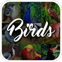 鳥の百科事典 アプリダウンロード