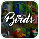 Encyclopédie des oiseaux APK