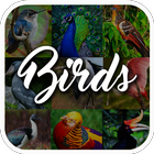 Icona Bird Encyclopedia