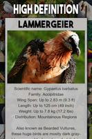 3 Schermata Bird Encyclopedia