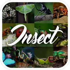 Insect Encyclopedia APK 下載