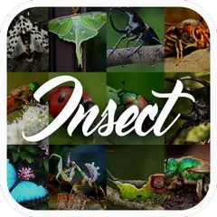 Insect Encyclopedia APK download