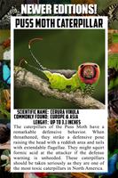 Insect Encyclopedia screenshot 3