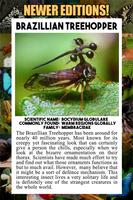 Insect Encyclopedia capture d'écran 1