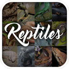 Baixar Enciclopédia Animal Réptil APK