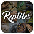 Reptile Animal Encyclopedia أيقونة