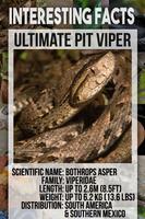 Reptile Animal Encyclopedia تصوير الشاشة 2