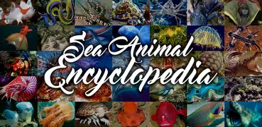 Sea Animal Encyclopedia