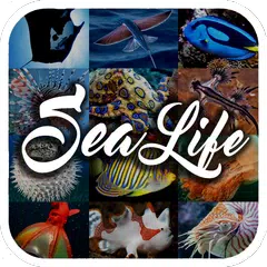 Sea Animal Encyclopedia APK download