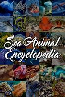 Sea Animal Encyclopedia Cartaz