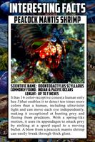 1 Schermata Sea Animal Encyclopedia