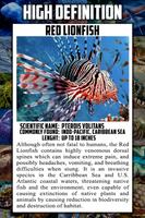 Sea Animal Encyclopedia ภาพหน้าจอ 2