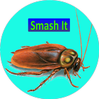 ikon Smash It