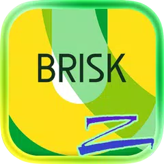 Brisk - ZERO launcher Theme