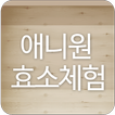 애니원효소체험