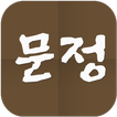 문정
