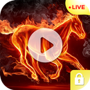 Fire Video Live Wallpaper APK
