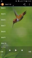 Ringtone Kicau Burung Lengkap capture d'écran 3