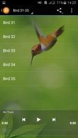 Ringtone Kicau Burung Lengkap capture d'écran 1