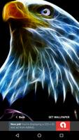 3D Animal Eagle Wallpapers HD 2017 Free Affiche