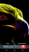 3D Animal Eagle Wallpapers HD 2017 Free capture d'écran 1