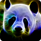 3D Animal Panda Wallpapers HD 2017 Free icône